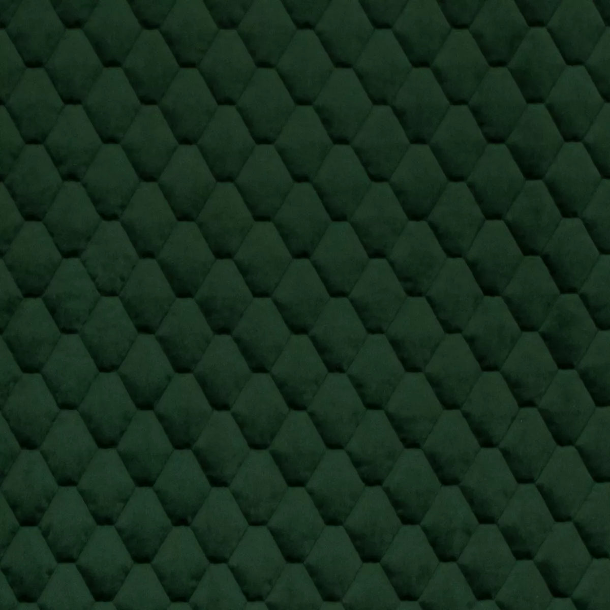 Essence Pine Jumbo