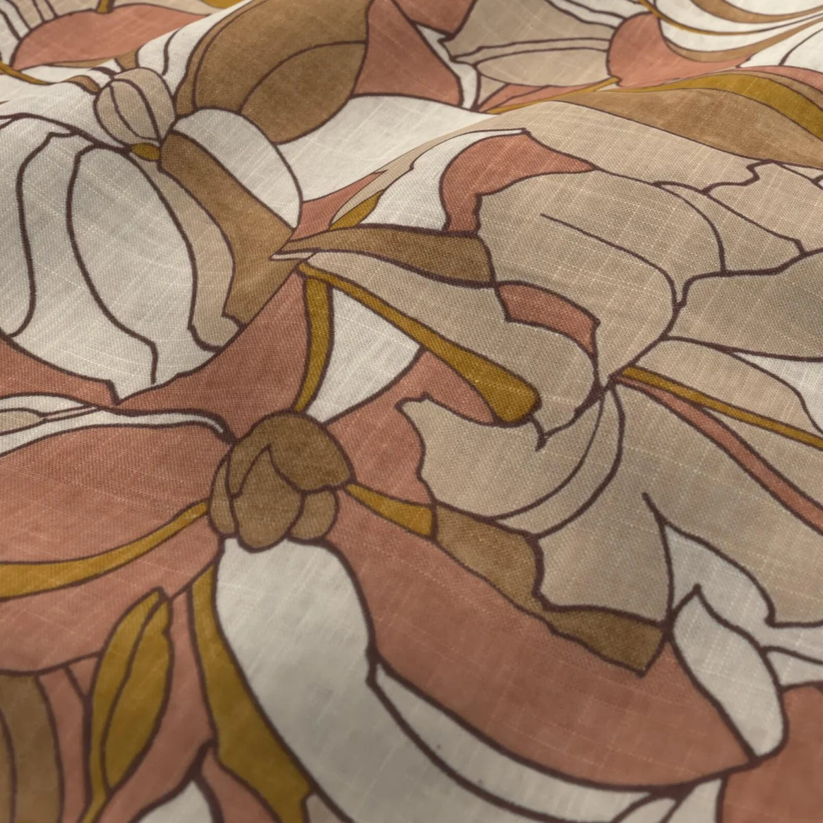 Lilium Saffron Jumbo